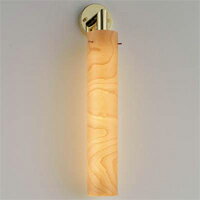 Ɩ@DECORATIVE LIGHTMAXRAYƖLZm{[ 436mmitXgjE17 40WuPbg@...