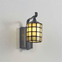 Ɩ@DECORATIVE LIGHTMAXRAYƖnsitXgjG9 120V25WuPbg@}bN...
