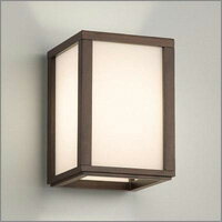 Ɩ@DECORATIVE LIGHTMAXRAYƖEFA E26 12WuPbg@}bNXCMB50294-21^u...