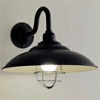 Ɩ@DECORATIVE LIGHTMAXRAYƖʋ E26 60WuPbg@}bNXCMB5645-02 ...