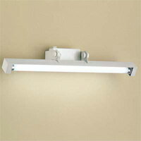Ɩ@DECORATIVE LIGHTMAXRAYƖFL 20Wi͗juPbg@}bNXCMB5821-01...