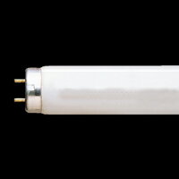 z^bN/cE3g`uvFL20SSEDF/18-SHG-A.10 NEC