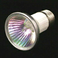 PHOENIX@JDR@110VdllIWE@E26x[X(50mm)JDR110V100WKPW/5E26/1BOX tFjbNX