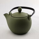 急須 マロン 若草艶消 ( 岩鋳 取っ手付き 茶こし付き 茶...