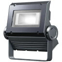 岩崎電気 レディオック フラッド ネオ ECF0395D/SAN8/DG 昼光色タイプ 30クラス(旧40W) 超広角タイプ ダークグレイ