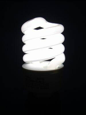 NEC 電球形蛍光ランプ D形 ミニクリプトン電球60W相当タイプ 3波長形昼白色 E17…...:denzaido:10016208