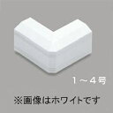 マサル工業 【お買い得品 10個セット】 《ニュー・エフモール 付属品》 デズミ 2号 ホワイト SFMD22_10set