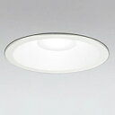 オーデリック LEDダウンライト SB形 埋込穴φ150 白熱灯100Wクラス 拡散配光 非調光 本体色:オフホワイト 昼白色タイプ 5000K OD261769