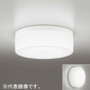 ショッピングオーデリック オーデリック LEDポーチライト 防雨・防湿型 壁面・天井面・傾斜面取付兼用 FCL20W相当 昼白色 白 OW269017ND