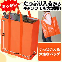 ǤͤǡȤˤޤäѤ礭ʥХå10P04oct10