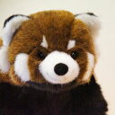 ケーセン(Kosen)社 【レッサーパンダ】【送料無料】【fsp2124】