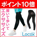 (正規販売店) ＜Locox＞はくだけエクスパッツ(ご購入特典 今治タオル) メーカー直販(Locox直販) エクササイズ ロコックス ロコモティブシンドローム... ランキングお取り寄せ