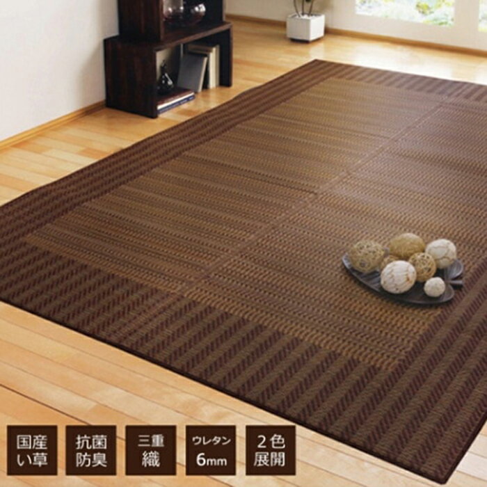 Fナール (I) い草 ラグ おしゃれ 国産 カーペット シンプル 約191×250cm 楽天スーパーSALE