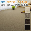 ガード (N) 【撥水・防水・防汚カーペット】 日本製 4.5畳,4畳半,4.5帖約261×261cm ホットカーペット対応