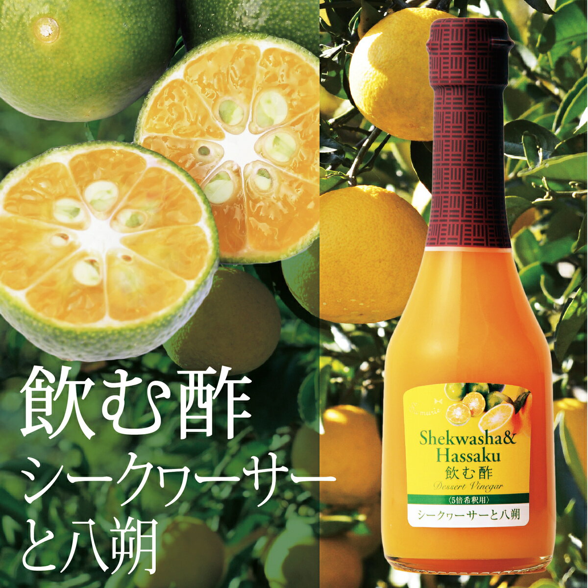 su<strong>飲む酢</strong> シークヮーサーと八朔の酢 250ml デザートビネガー OSUYA GINZA　お酢屋 銀座 果実酢 オークスハート <strong>内堀</strong>醸造