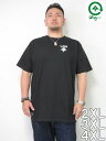 LRG(エルアールジー)「LOGO PLUS」TEE<ブラック><1枚限定>