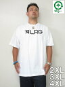 LRG(エルアールジー)「ORIGINAL ROOTS PEOPLE」TEE<ホワイト>