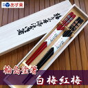 高級箸 輪島塗箸 白梅紅梅(夫婦箸)/本手描蒔絵/桐箱入り/贈り物/ペア/結婚祝い/