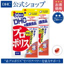 【最大P55倍以上&600pt開催】熱帯雨林の強靭なミツバチ...
