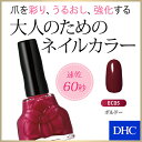 【最大P26倍以上&400pt開催】 【DHC直販】速乾タイ...