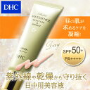 【店内P最大24倍以上&300pt開催】【DHC直