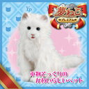 セガトイズ 夢ねこプレミアム【ラッピング対応します 総販売元店】