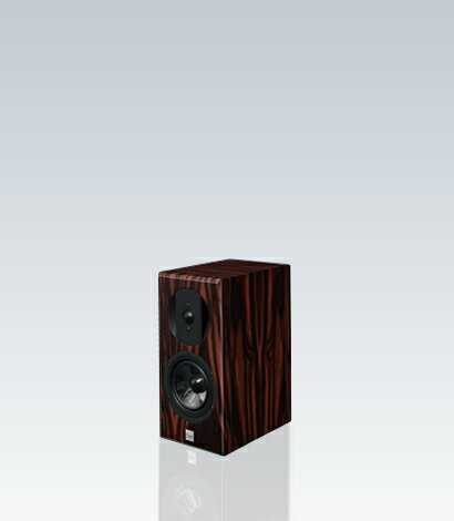 --̵ӥʧOK--ƥ쥪  Vienna Acoustics 󥢥ƥå ԡ HAYDN GRAND (å) ڥ  ̵ Ķò