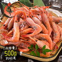 越前産 甘えび 甘エビ 子持ち中サイズ 500g(約40尾入り)刺身用