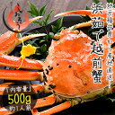 越前かに 500g前後×1尾 中サイズ 越前蟹 越前がに(着...