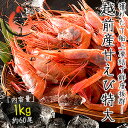 越前産 甘えび 子持ち特大サイズ 1kg(500g×2箱)約60尾入り 刺身用 甘エビ[送料無料