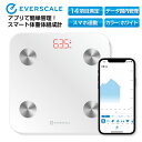 ̏dv ̑gv ̎bv EVERSCALE  zCg X}zA bluetooth 14ڑ ̏d@̎b BMI ؓ   bӗ b AvŌNǗ  |  ֗