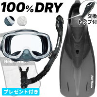 シュノーケリングセット ドライスノーケル シュノーケル 3点セット マスク フィン スノーケル セット 【rm33q-kokua+-rf12-Smesh】の画像
