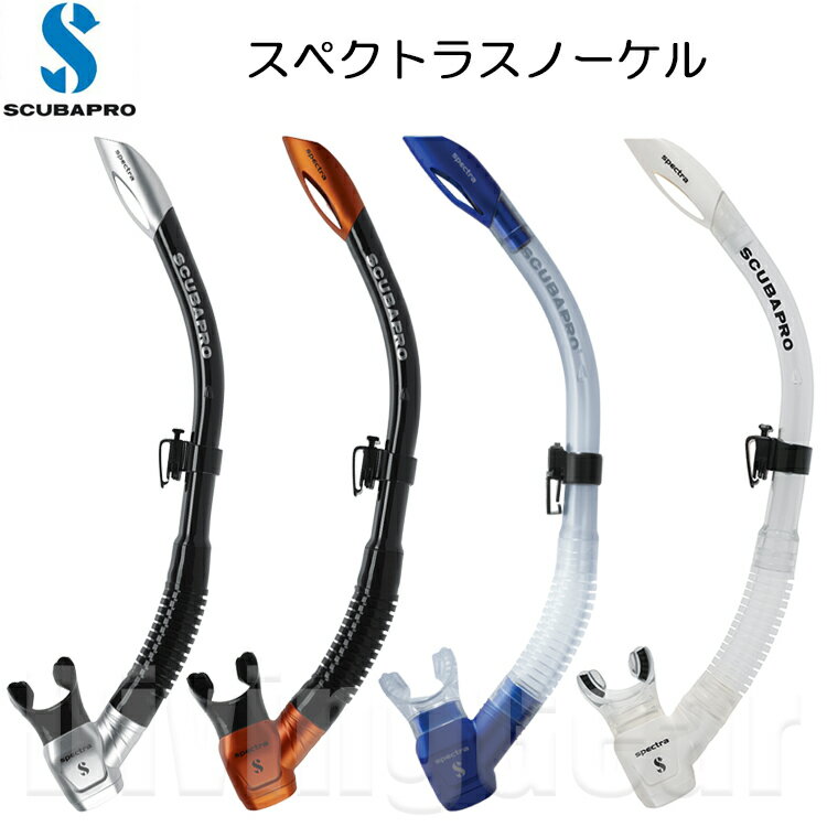 SCUBAPRO(XL[ov)@SPECTRA SNORKEL XyNg Xm[P