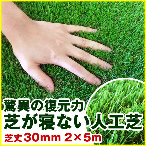 人工芝 リアル 【驚異の復元力 芝が寝ない】 V字型 芝丈30mm 2×5m [単品][10平米] ...:diy-liebe:10115201