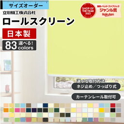 【P4倍☆20日23___59まで】 ロールスクリーン ロール<strong>カーテン</strong> オーダー 遮熱 <strong>遮光</strong> 1級 つっぱり　ウォッシャブル 洗える 間仕切り 防炎 防水 シースルー 浴室 選べるタイプ タチカワ 無地 北欧 おしゃれ 日本製 新生活