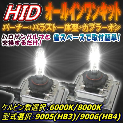 超小型HID35Wオールインワンキット(バルブ着脱可能タイプ)　型式選択【H11/HB3(9005)/HB4(9006)】ケルビン数【4300K/6000K/8000K/10000K選択可】【送料無料】【1年保証】