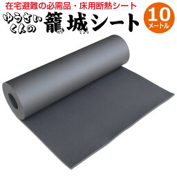 在宅避難の必需品 籠城シート10m【防災<strong>グッズ</strong> 床 底冷え 対策 床用断熱シート　避難　避難セット 避難弱者　避難<strong>グッズ</strong> 災害用 災害<strong>グッズ</strong> 防災倉庫 備蓄倉庫 自宅避難 避難所 防災セット 中身だけ 防災リュック 単品防災<strong>グッズ</strong>(防災用品) 防災 エアーマット お勧め 高齢者】