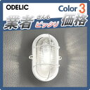 エクステリア 屋外 照明 ライトオーデリック(ODELIC) マリンライト マリンランプ 【マリンライト OG254604LDホワイト】 ブラケットライト インダストリアル感漂う定番のあかり