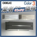 エクステリア 屋外 照明 ライトオーデリック(ODELIC) 【ポーチライト OG042171LD OG042172LD OG042173LD】 ブラケットライト 表札灯 壁面・玄関灯・門柱 明暗センサ付き LED小型表札灯 スクエア