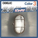 エクステリア 屋外 照明 ライトオーデリック(ODELIC) マリンライト マリンランプ 【マリンライト OG254606LD鉄錆色】 ブラケットライト インダストリアル感漂う定番のあかり