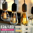 【5個セット】【調光器対応】エジソン バルブ EDISON BULB (LED/4W/100V/口金E26) LED