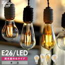 【調光器対応】エジソンバルブ E26 LED電球(LED/4W/100V/口金E26) LED 照明 エジソン電球 調光タイプ フィラメントLED エジソン球 ボール球