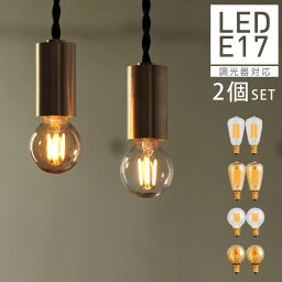 【2個セット】【口金E17】【<strong>調光器対応</strong>】エジソン バルブ LED E17 LED電球 照明 エジソン電球 レトロ フィラメントLED シャンデリア　おしゃれ ミニ ボール球 ボール型 なすび型 小さい LEDランプ