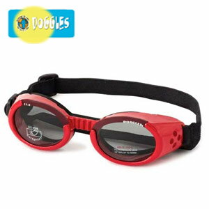  Doggles@(hOXj Shiny Red Frame/Smoke Lens iILS2pS[O/bhj   