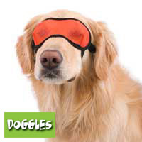 【Doggles　(ドグルス）】Orange Mesh Eyewear（オレンジメッシュアイマスク） 【W3】