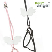 【PUPPY ANGEL(パピーエンジェル）】ANGEL WING HARNESS