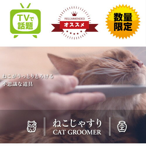 【再入荷！】TVで話題のねこじゃすり　グレー【あす楽対応】