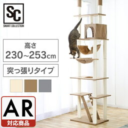 猫 <strong>キャットタワー</strong> <strong>突っ張り</strong> <strong>スリム</strong> おしゃれ 省スペース 猫用品 爪とぎ 多頭飼い 子猫 シニア ハンモック 複数飼い つめとぎ ストレス解消 運動不足 CCCT-4060T【AR対応】