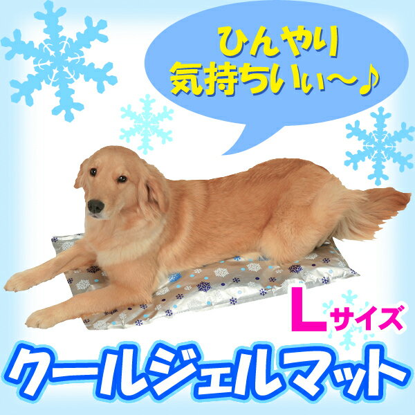 ̥볫ۥ른ޥåCJMLڢ