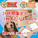 《24時間タイムセール》1回使い捨てペットシーツ[％OFF・トイレタリー・ペットシート・トイレ・小型犬]《96時間限定！1,050円以上送料無料☆1/24 10時まで》